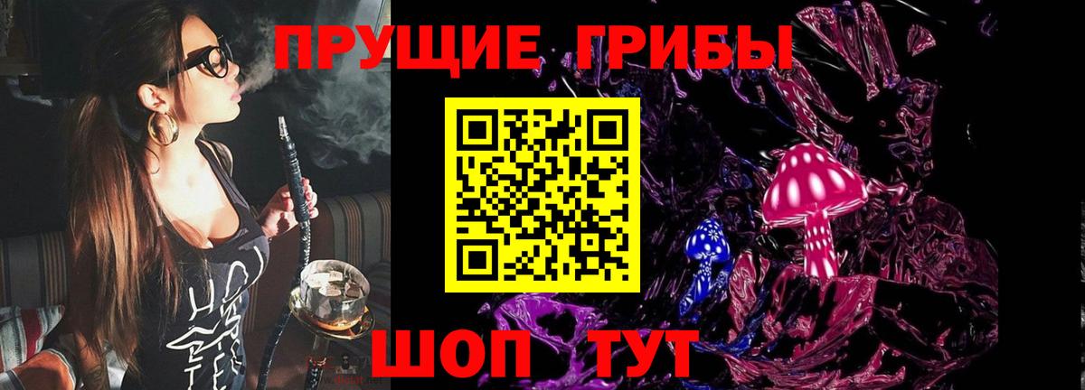 Павловский Посад  Галлюциногенные грибы Cubensis  Вход с VPN  Галлюциногенные грибы мицелий 