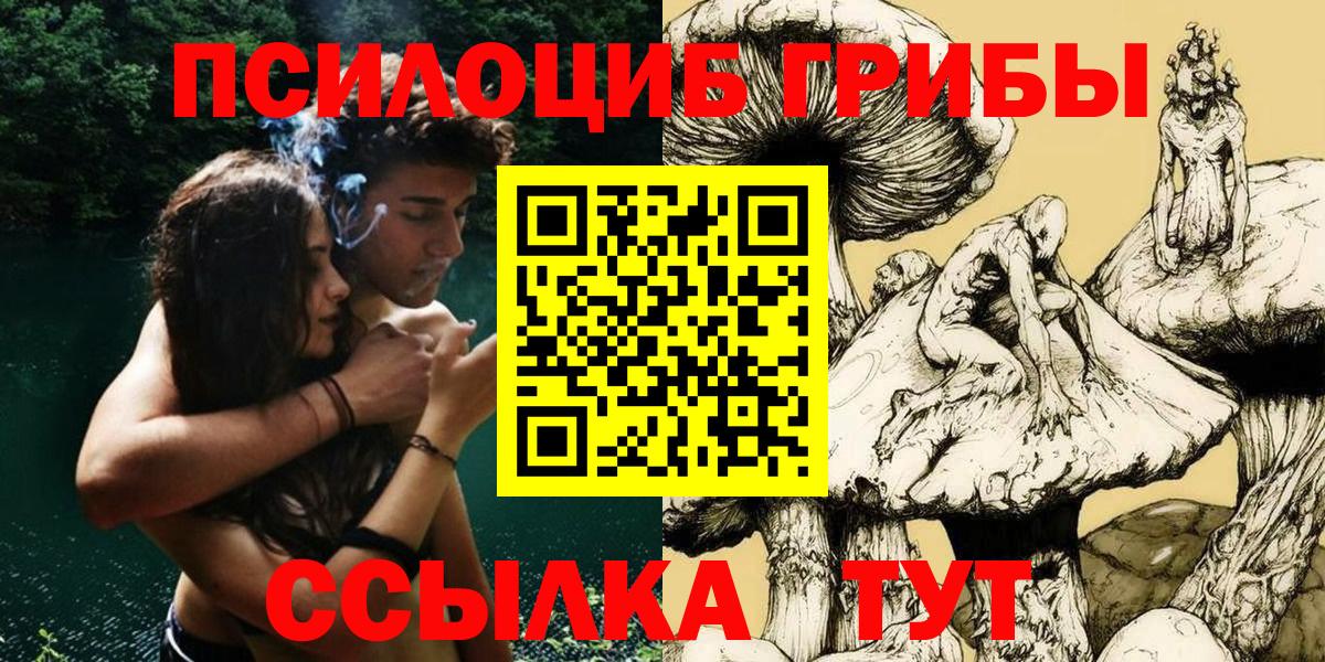 Псилоцибиновые грибы Psilocybe Павловский Посад